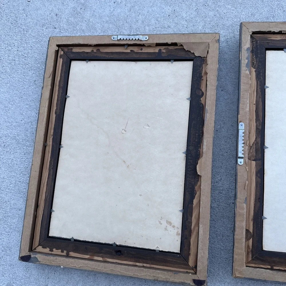 2 Framed Fossil Shark Teeth Display Collection Wall Art